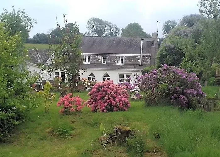 Hills Farm B&B Laugharne